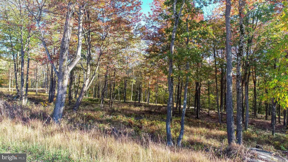 157 FORK RUN TRAIL Mc Henry, MD 21541