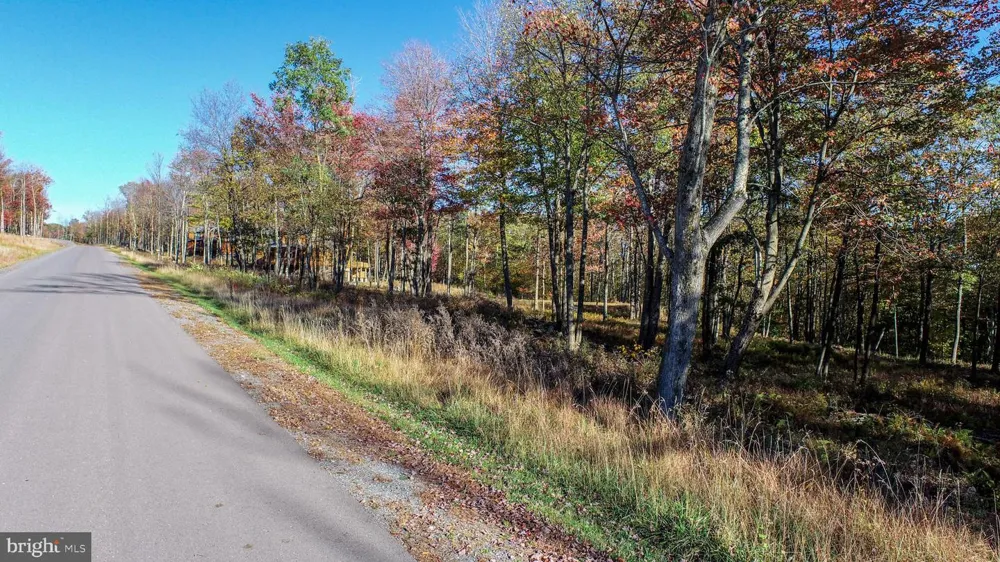 157 FORK RUN TRAIL Mc Henry, MD 21541
