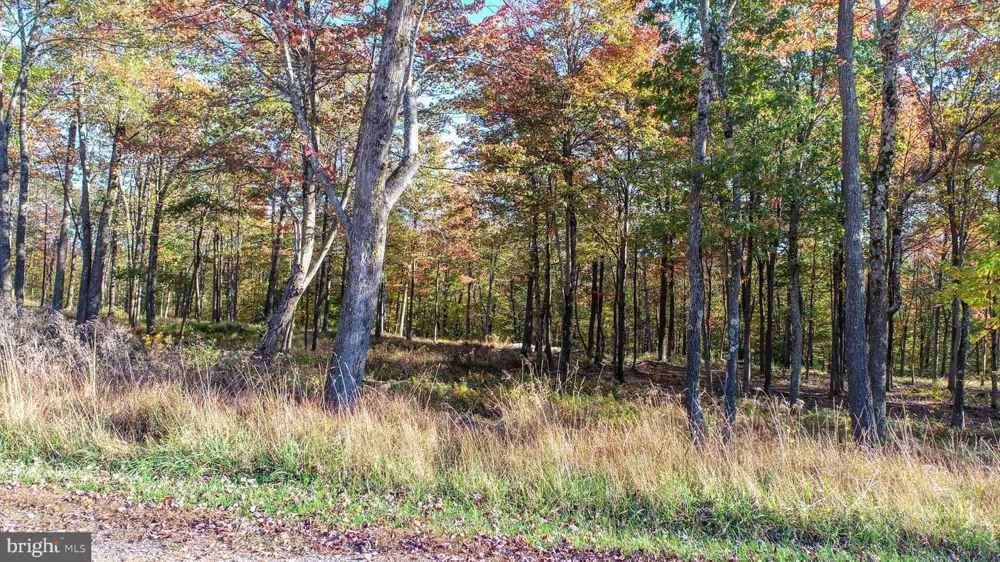 157 FORK RUN TRAIL Mc Henry, MD 21541