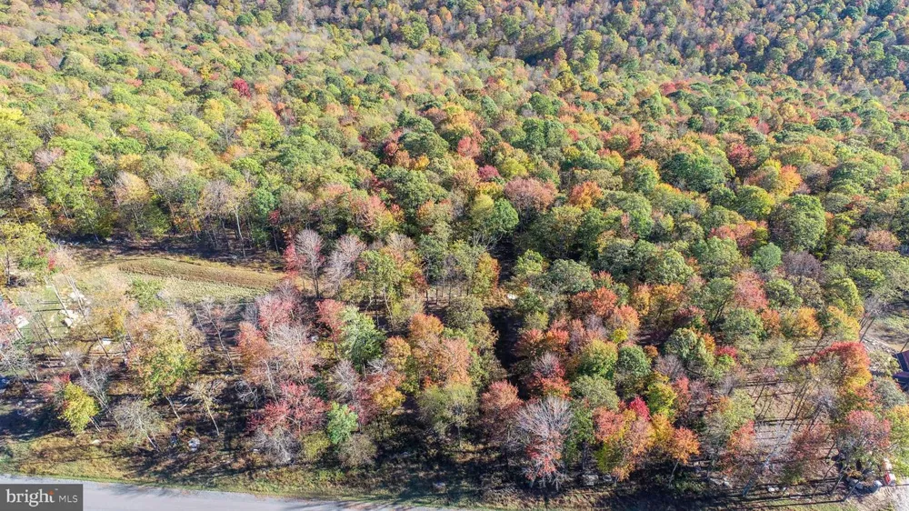 157 FORK RUN TRAIL Mc Henry, MD 21541