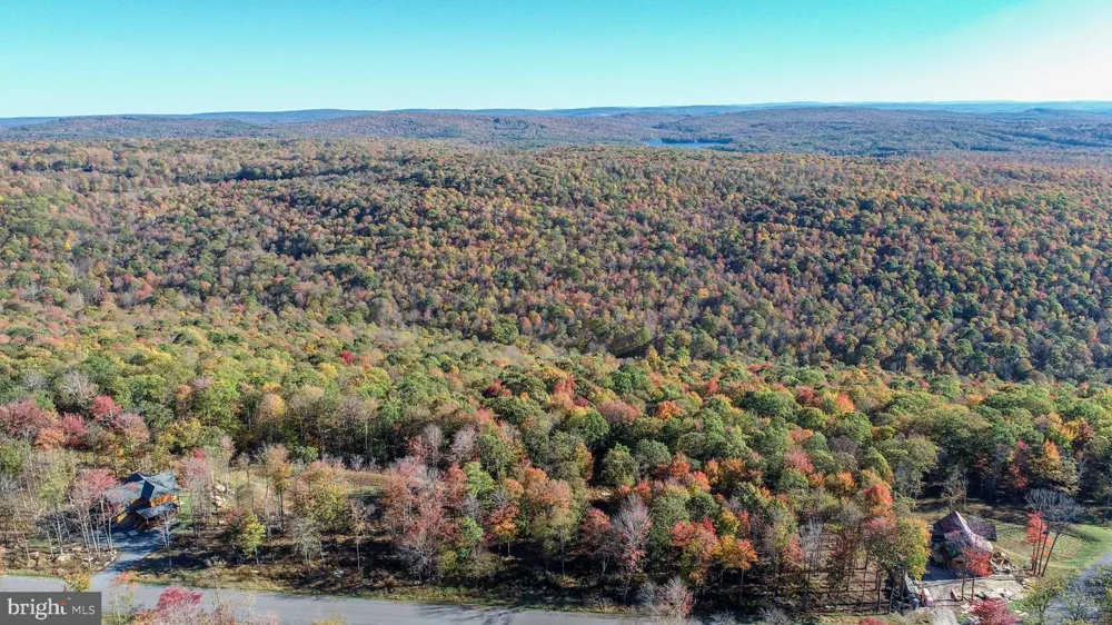157 FORK RUN TRAIL Mc Henry, MD 21541