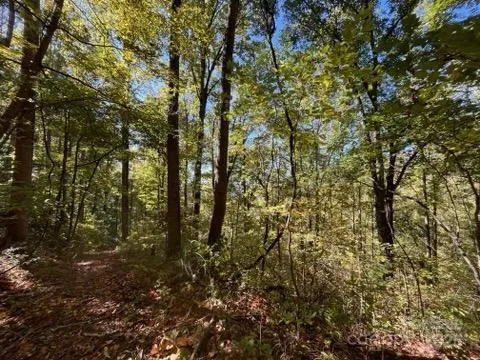 99999 Moody Cove Road Weaverville, NC 28787