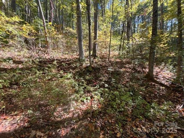 99999 Moody Cove Road Weaverville, NC 28787