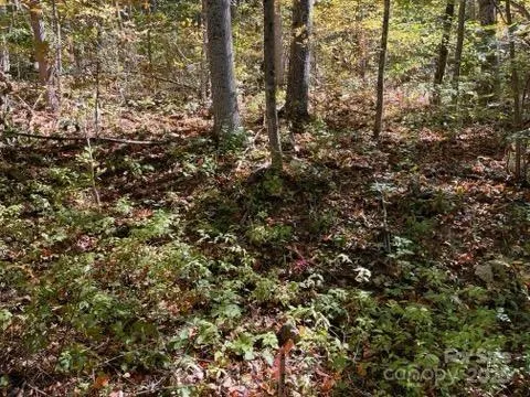 99999 Moody Cove Road Weaverville, NC 28787