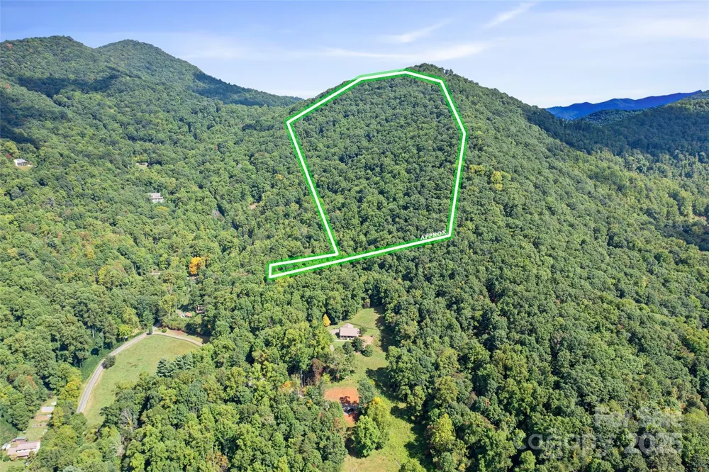 99999 Moody Cove Road Weaverville, NC 28787