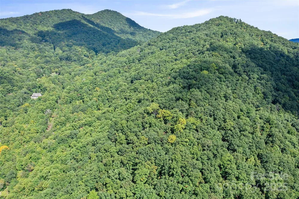 99999 Moody Cove Road Weaverville, NC 28787
