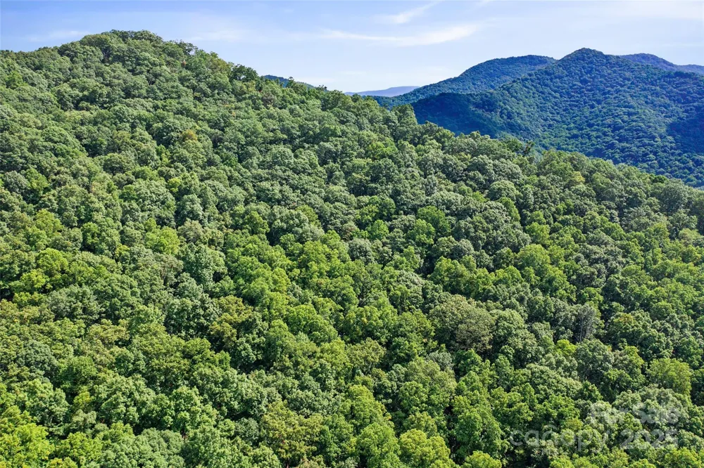 99999 Moody Cove Road Weaverville, NC 28787