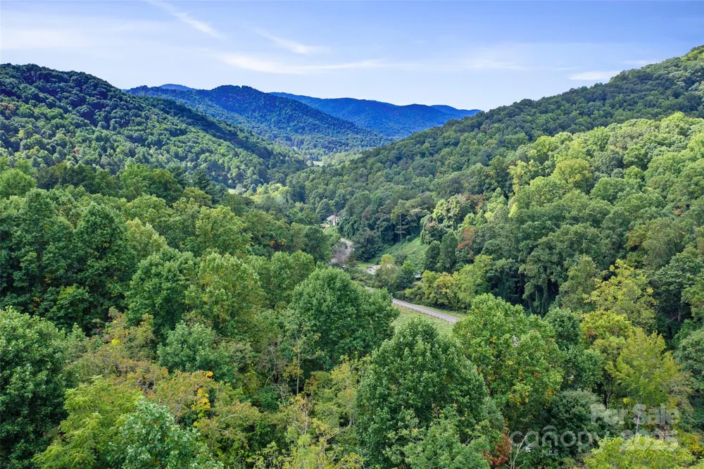 99999 Moody Cove Road Weaverville, NC 28787