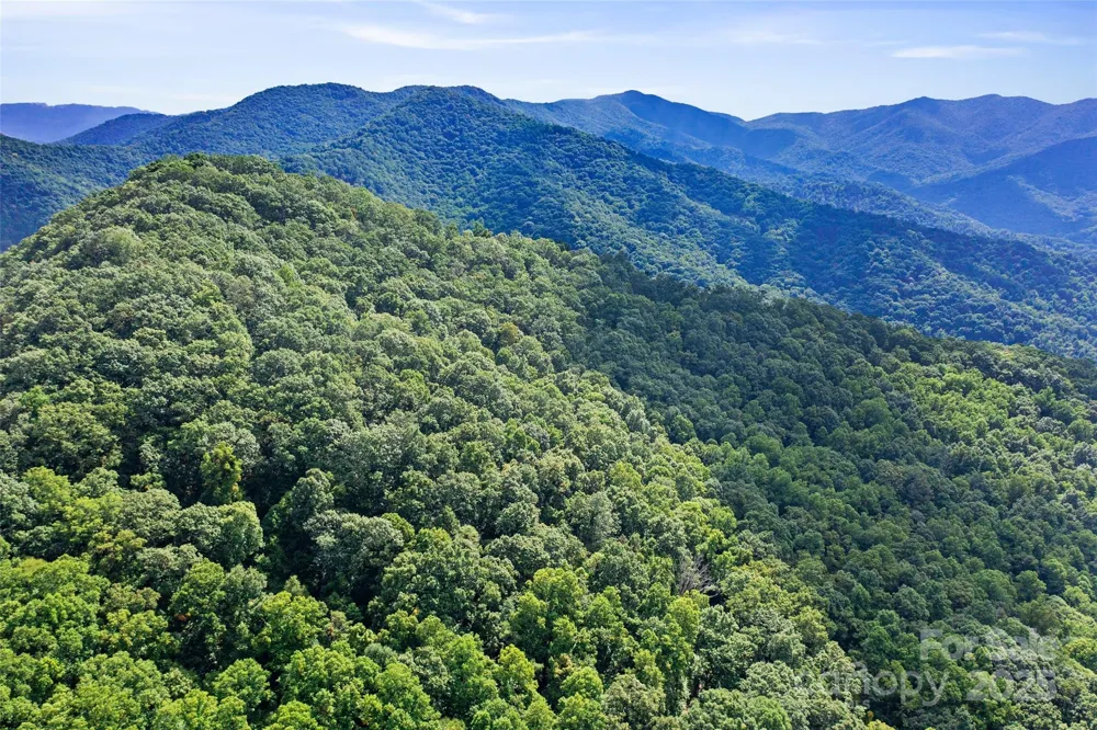 99999 Moody Cove Road Weaverville, NC 28787