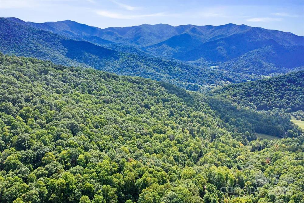 99999 Moody Cove Road Weaverville, NC 28787