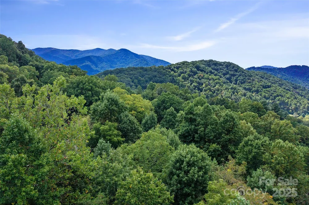 99999 Moody Cove Road Weaverville, NC 28787