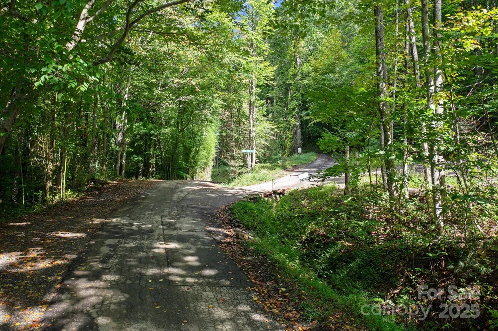 99999 Moody Cove Road Weaverville, NC 28787