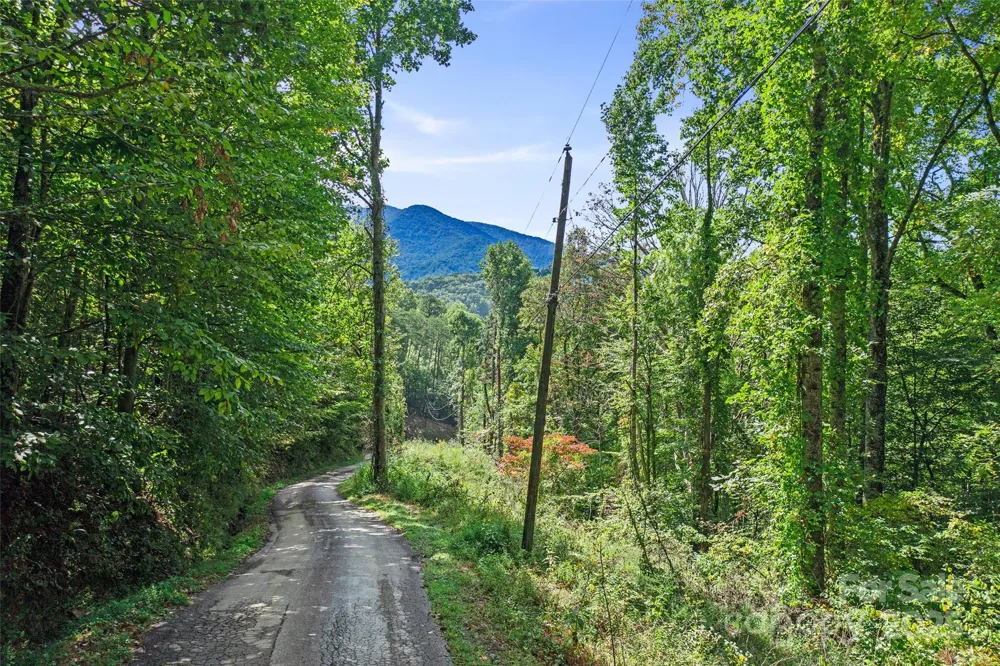 99999 Moody Cove Road Weaverville, NC 28787