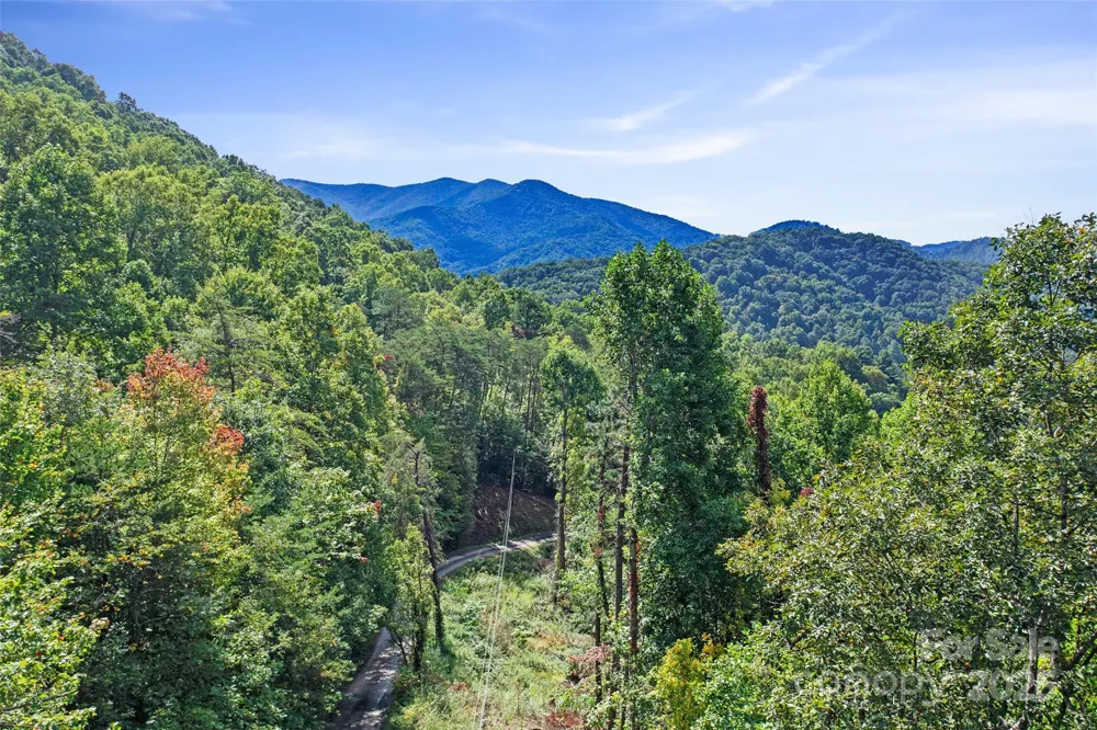 99999 Moody Cove Road Weaverville, NC 28787