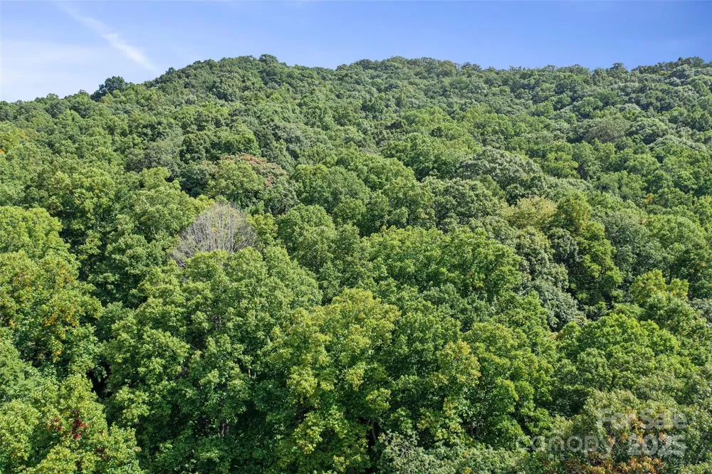 99999 Moody Cove Road Weaverville, NC 28787