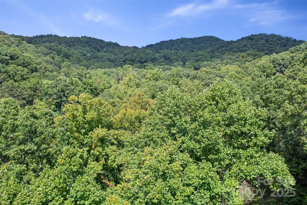 99999 Moody Cove Road Weaverville, NC 28787