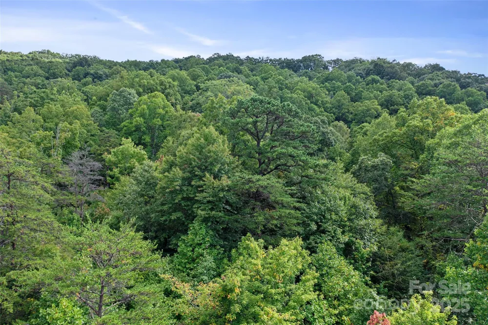99999 Moody Cove Road Weaverville, NC 28787