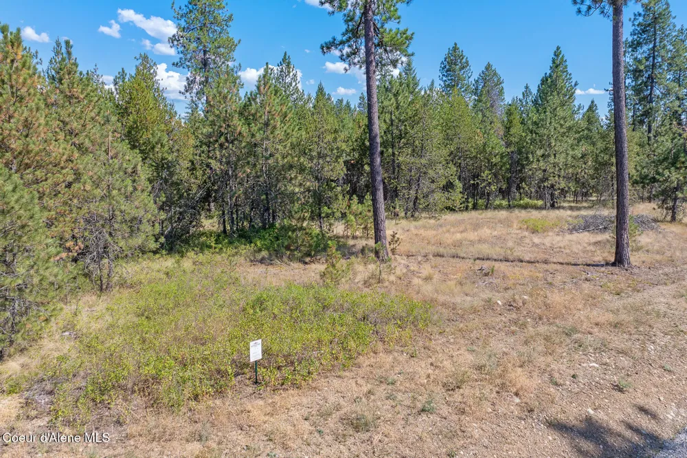Lot 4 Dawson Loop Athol, ID 83801