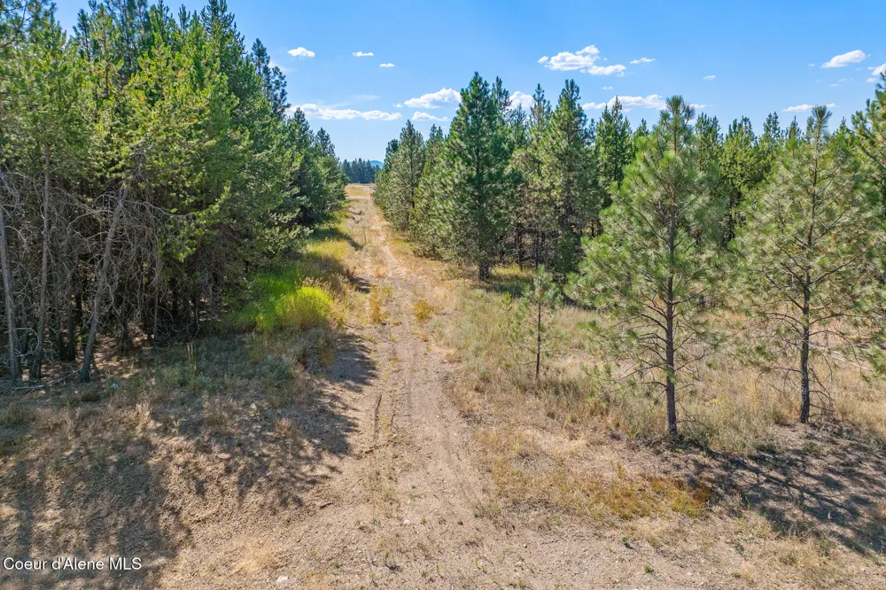 Lot 17 Asulkan Street Athol, ID 83801