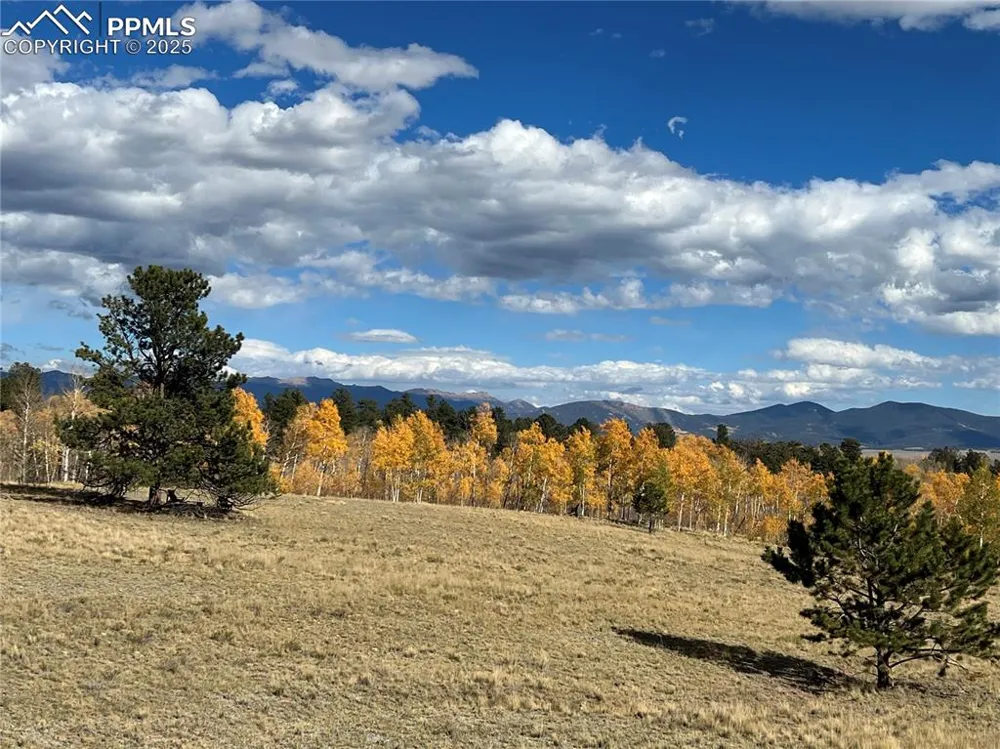 2387 Buffalo Ridge Road Como, CO 80432