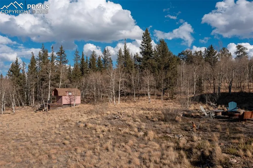 2387 Buffalo Ridge Road Como, CO 80432