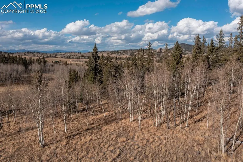 2387 Buffalo Ridge Road Como, CO 80432