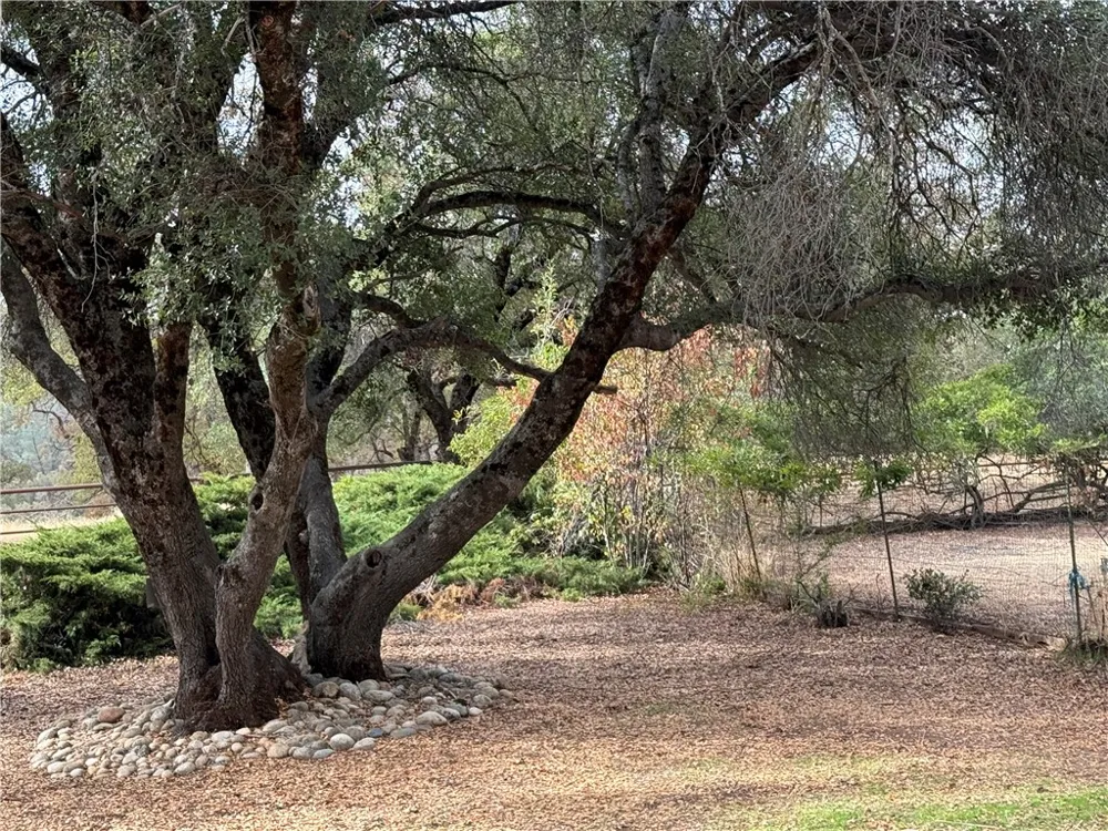 5264 Davis Road Midpines, CA 95345