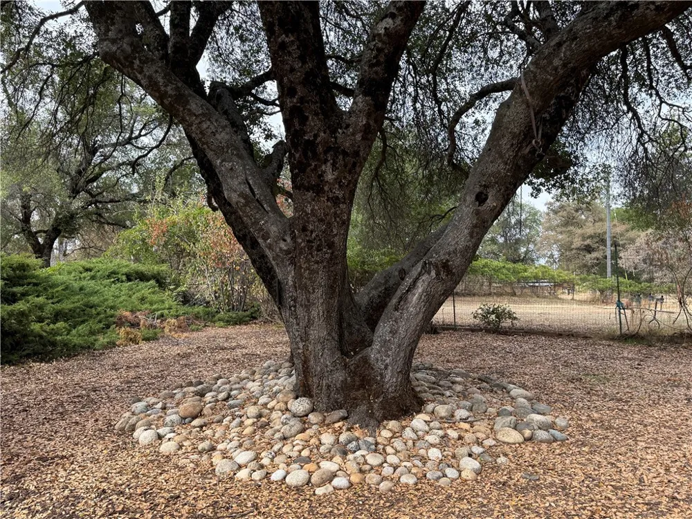 5264 Davis Road Midpines, CA 95345