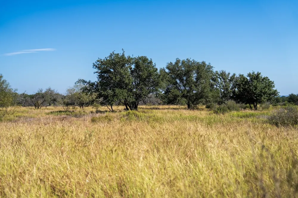 928 Bendele Road Johnson City, TX 78636