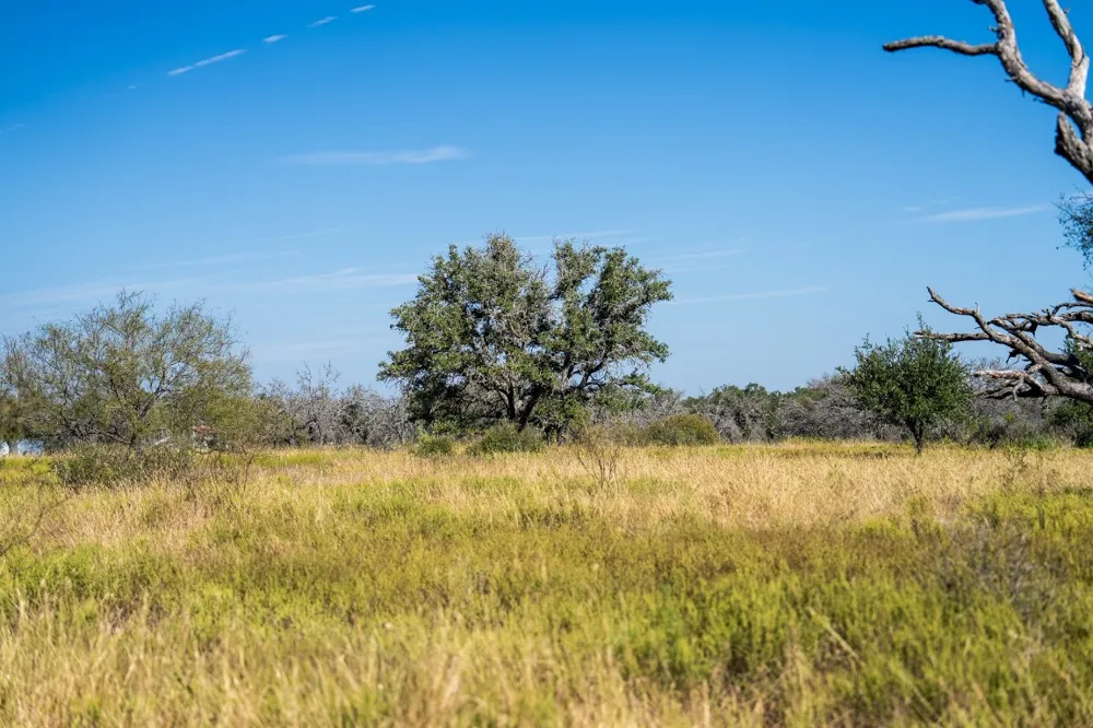 928 Bendele Road Johnson City, TX 78636