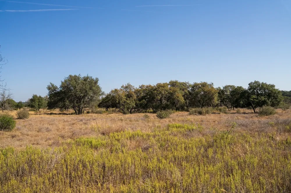 928 Bendele Road Johnson City, TX 78636