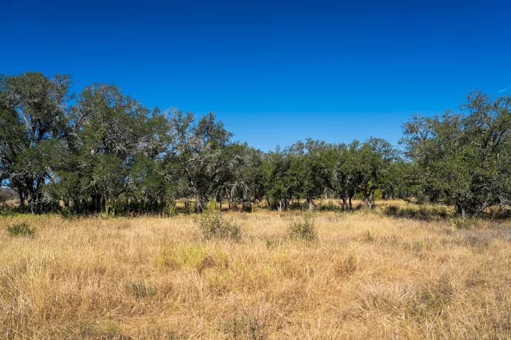 928 Bendele Road Johnson City, TX 78636