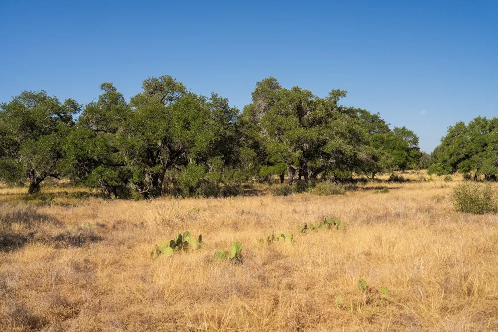 928 Bendele Road Johnson City, TX 78636