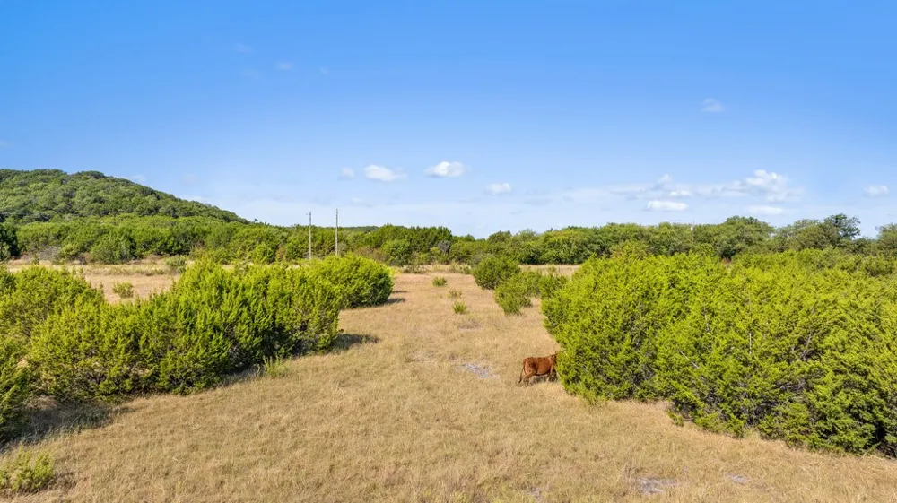 FM 216 Iredell, TX 76649