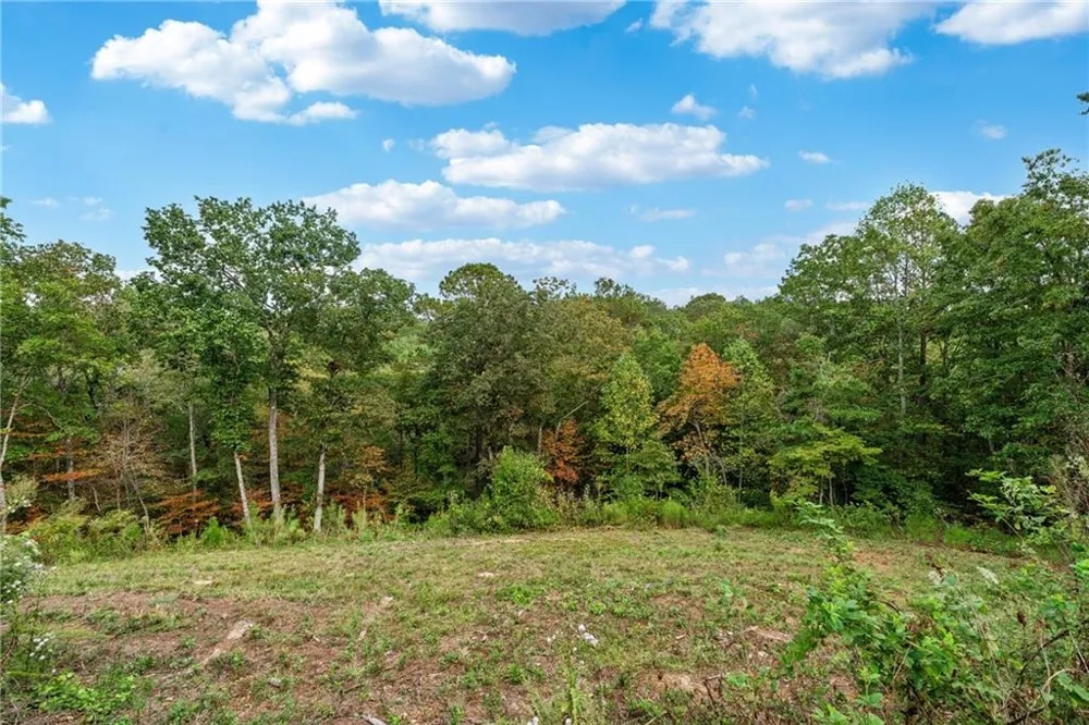 38 Mountain Ridge Road NE White, GA 30184