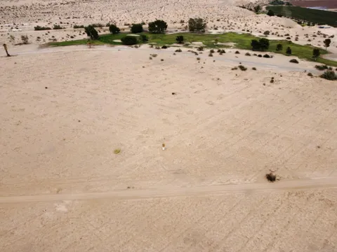 1680 Acres On Wells Road
