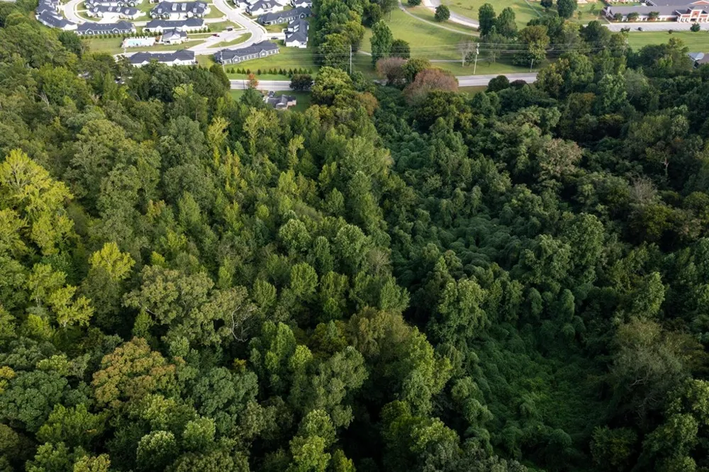 1123 Mountain Creek Road Chattanooga, TN 37405