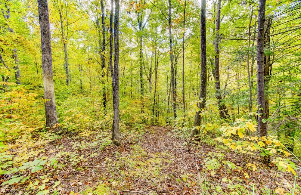 443 Glen Valley Drive Weaverville, NC 28787
