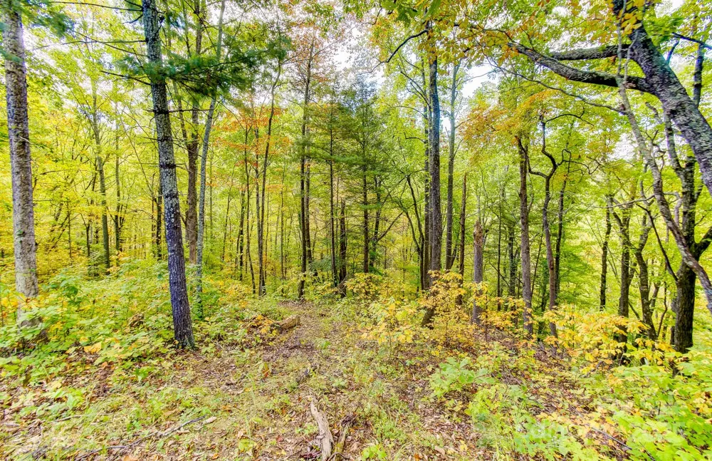 443 Glen Valley Drive Weaverville, NC 28787
