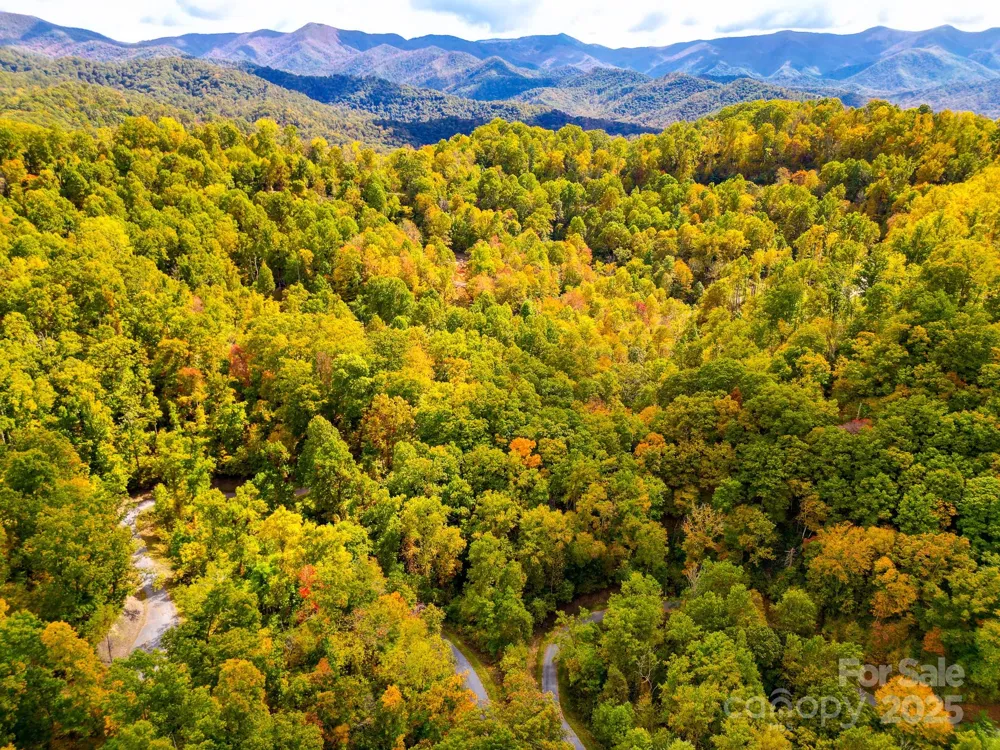 443 Glen Valley Drive Weaverville, NC 28787