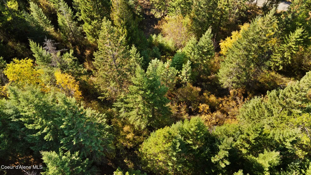 NNA Sunsetter Lane Lot 2 Cocolalla, ID 83813