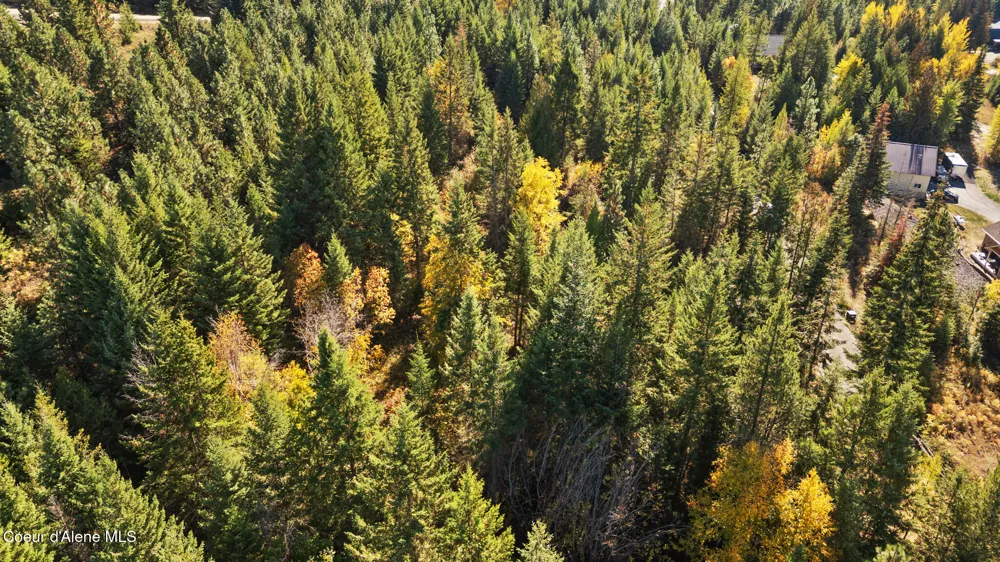 NNA Sunsetter Lane Lot 2 Cocolalla, ID 83813