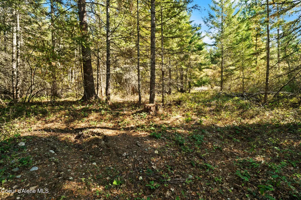 NNA Sunsetter Lane Lot 2 Cocolalla, ID 83813