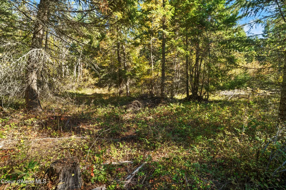 NNA Sunsetter Lane Lot 2 Cocolalla, ID 83813