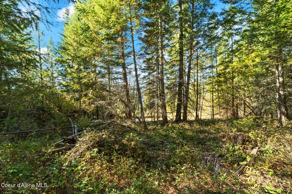 NNA Sunsetter Lane Lot 2 Cocolalla, ID 83813