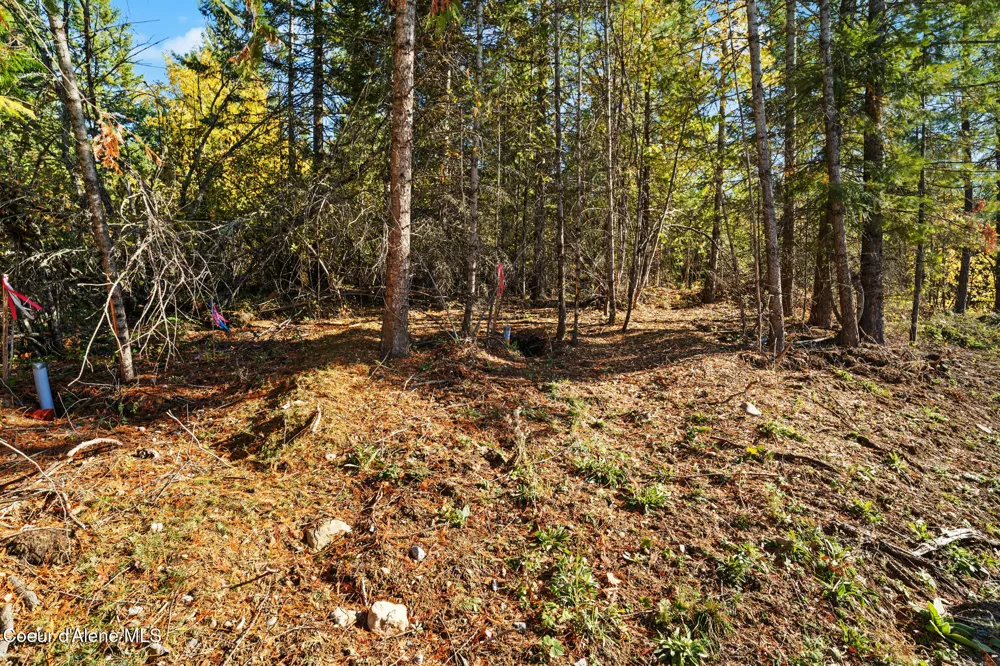 NNA Sunsetter Lane Lot 2 Cocolalla, ID 83813