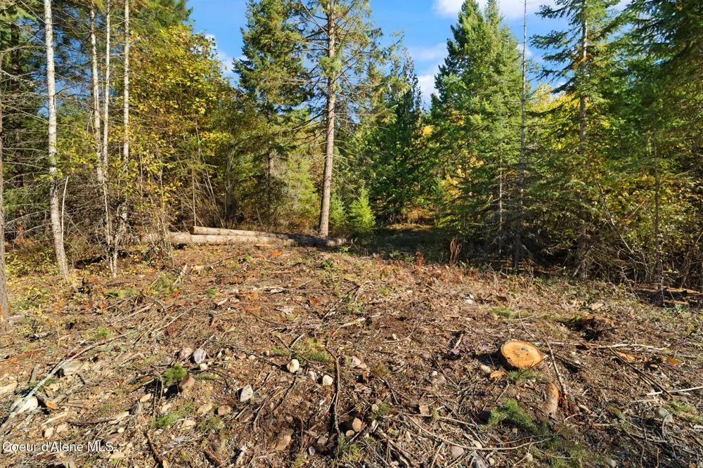 NNA Sunsetter Lane Lot 2 Cocolalla, ID 83813