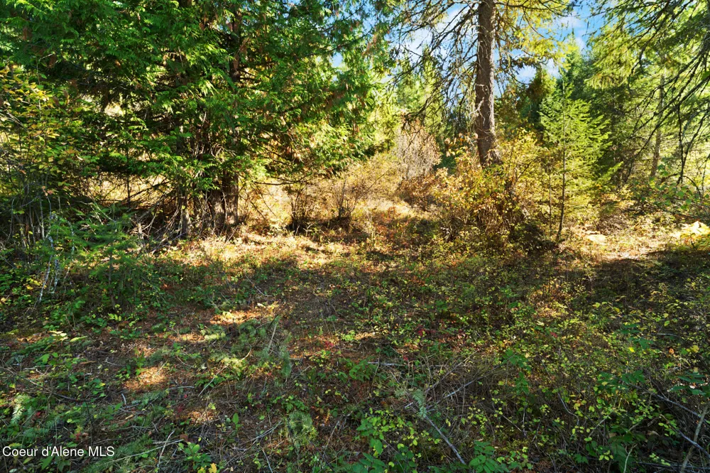 NNA Sunsetter Lane Lot 2 Cocolalla, ID 83813