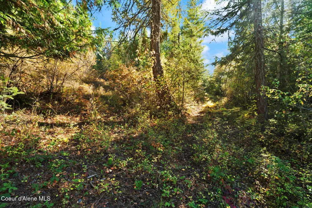 NNA Sunsetter Lane Lot 2 Cocolalla, ID 83813