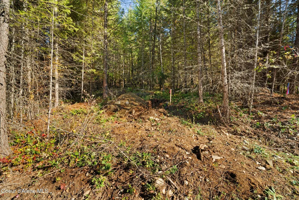 NNA Sunsetter Lane Lot 2 Cocolalla, ID 83813